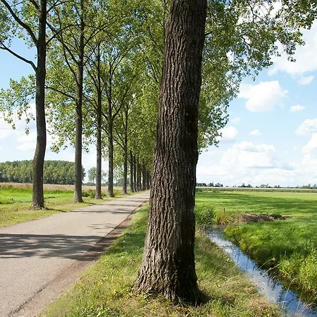 De Kersenbongerd 아파트 Ingen